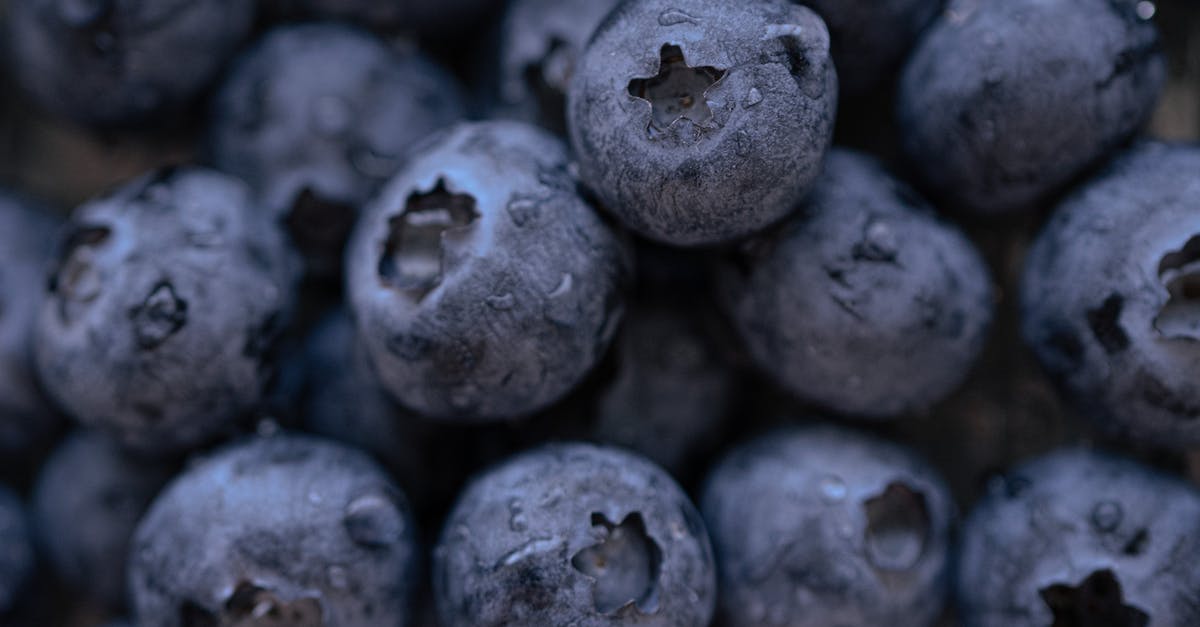 Where do I drop off and pick up a foot passenger in Calais (P&O)? - Pile of ripe blueberries with droplets Where do I drop off and pick up a foot passenger in Calais (P&O)? - Pile of ripe blueberries with droplets