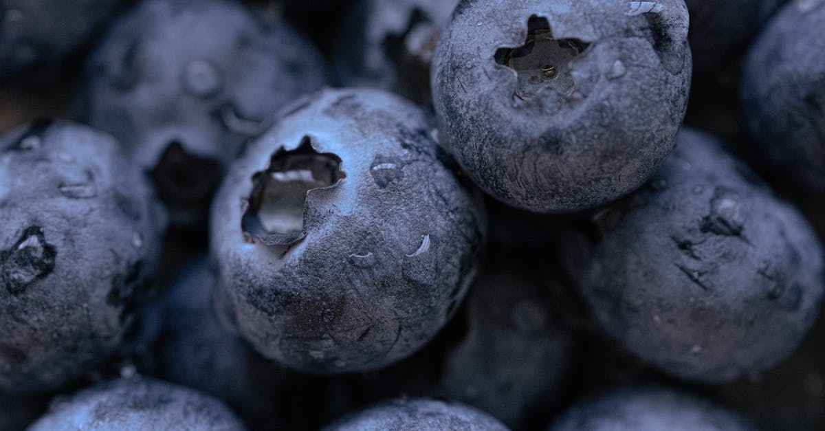 Where do I drop off and pick up a foot passenger in Calais (P&O)? - Closeup heap of fresh blueberries covered with drops of water during harvesting season in countryside on summer day in nature Where do I drop off and pick up a foot passenger in Calais (P&O)? - Closeup heap of fresh blueberries covered with drops of water during harvesting season in countryside on summer day in nature