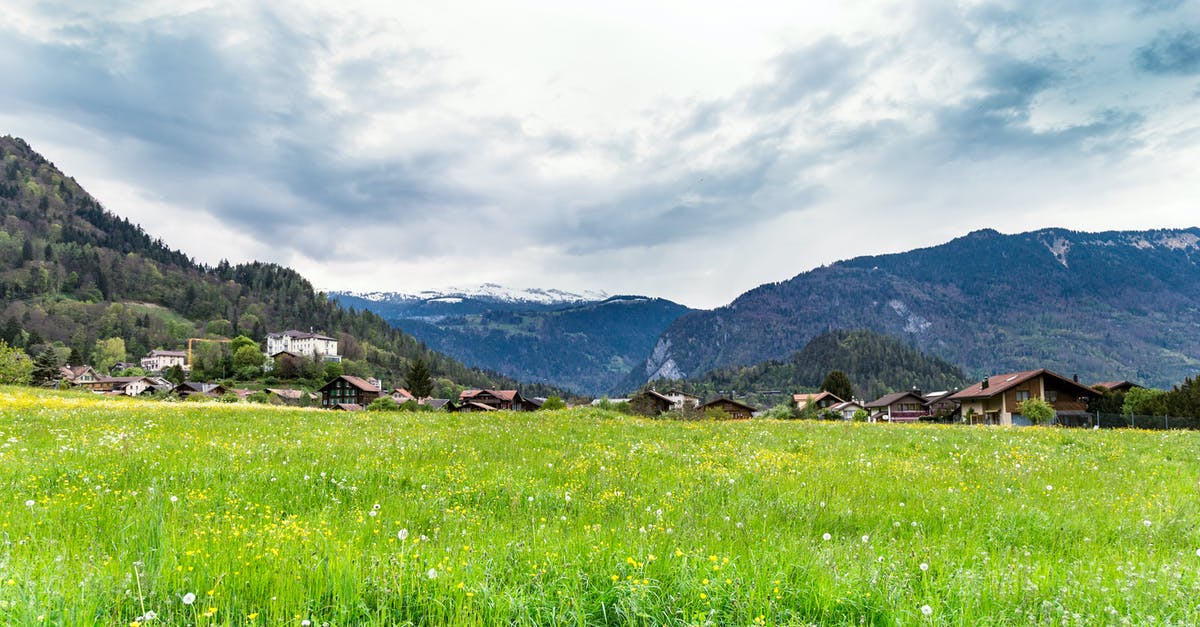 Where in Switzerland can I exchange Nepalese Rupee into Swiss Francs? - Green Grass Field and Mountain Under White Clouds Where in Switzerland can I exchange Nepalese Rupee into Swiss Francs? - Green Grass Field and Mountain Under White Clouds