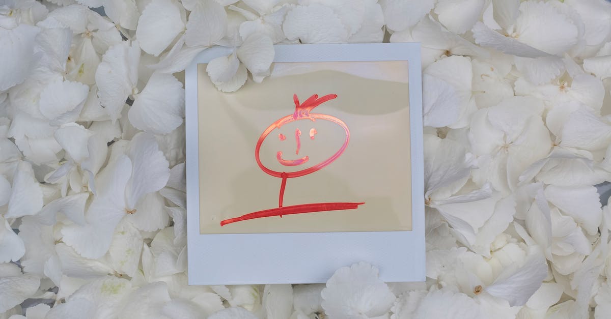 Where is the background photo used by Office 365 taken? - White and Red Love Print Paper on White Flower Petals Where is the background photo used by Office 365 taken? - White and Red Love Print Paper on White Flower Petals