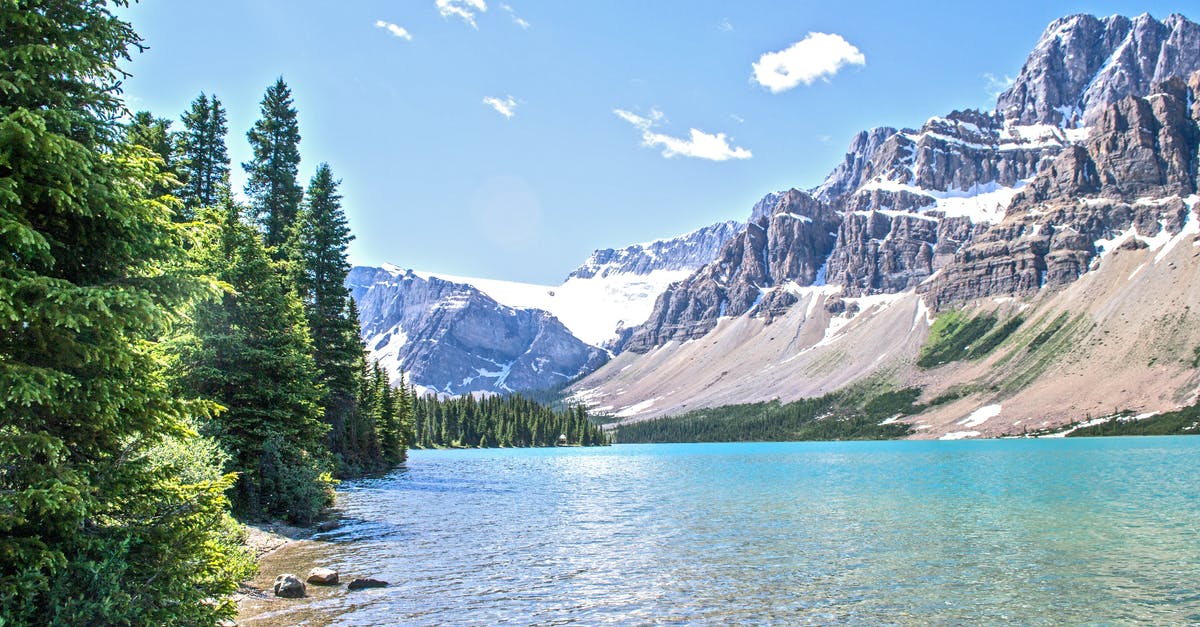 Where is the cheapest place on earth to rock climb? - Green Trees Near Body of Water