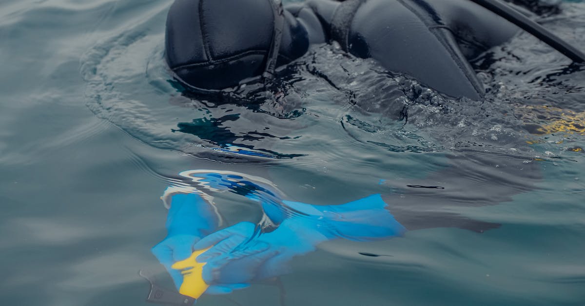 Where is the coldest commercial diving site? - Free stock photo of 4k, beach, blower Where is the coldest commercial diving site? - Free stock photo of 4k, beach, blower