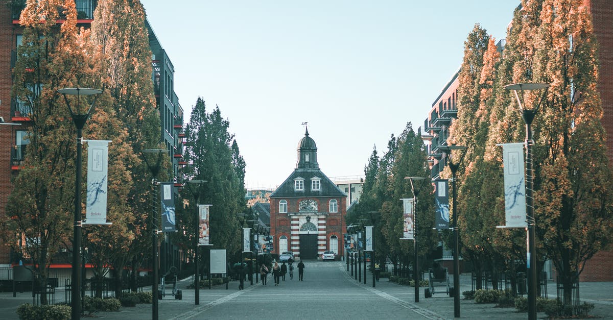 Where is the historical center of Tlalpan? - Church In Center Of The Road Where is the historical center of Tlalpan? - Church In Center Of The Road