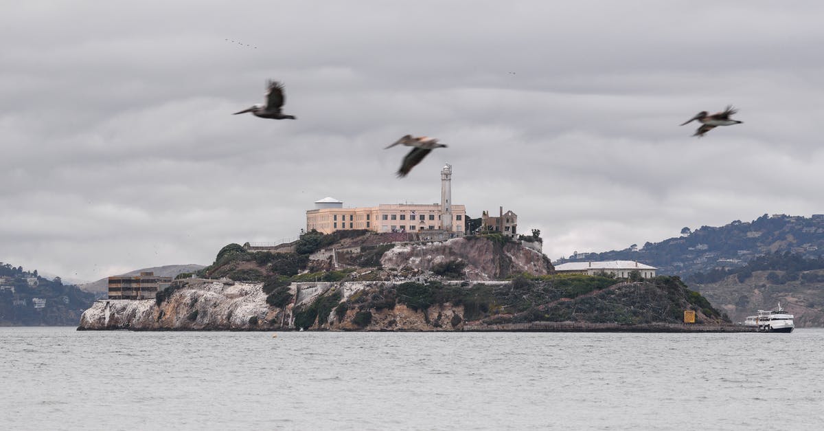 Where is this castle? - White and Black Bird Flying over the Sea Where is this castle? - White and Black Bird Flying over the Sea