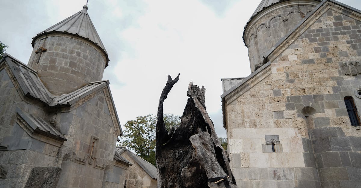 Where is this half buried Armenian church or monastery? - Brown Tree Trunk Near Brown Concrete Building