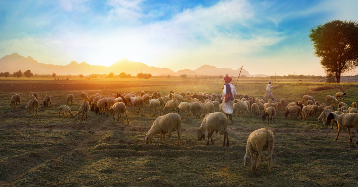 Where is this lake/mountain scene? - White Sheep on Farm Where is this lake/mountain scene? - White Sheep on Farm