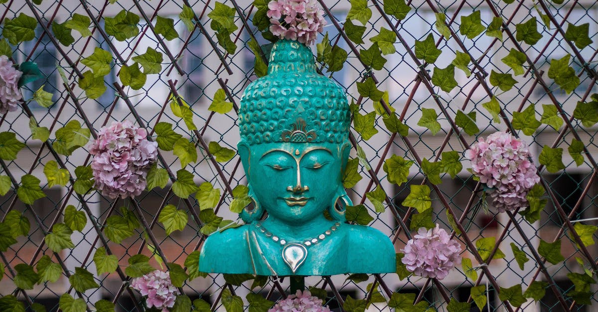 Where is this statue? - Head Bust of a Buddhist Deity mounted in a Chain Link Fence Where is this statue? - Head Bust of a Buddhist Deity mounted in a Chain Link Fence