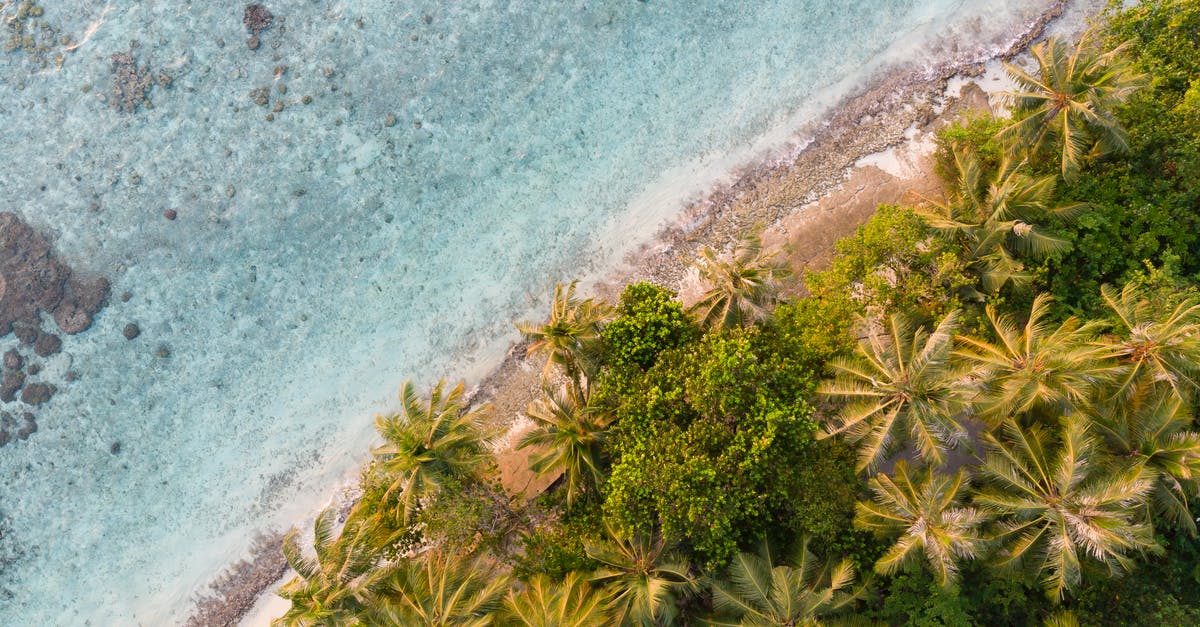 Where on Vancouver Island was this photo taken? - Seashore with azure water and green palms Where on Vancouver Island was this photo taken? - Seashore with azure water and green palms