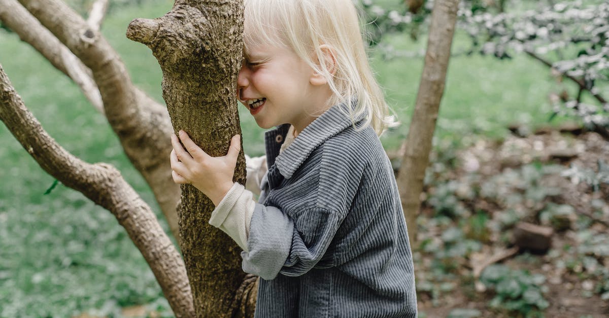 Where should I stop for interest to kids when driving between Toronto and Boston? [closed] - Side view of cheerful little kid with closed eyes smiling and touching tree trunk while standing in park on blurred background