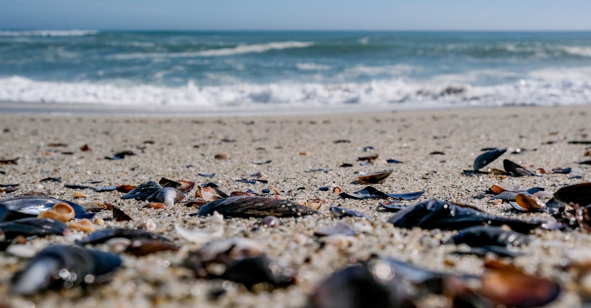 Where these beaches in Oregon? [closed] - Black and Brown Stones on Beach