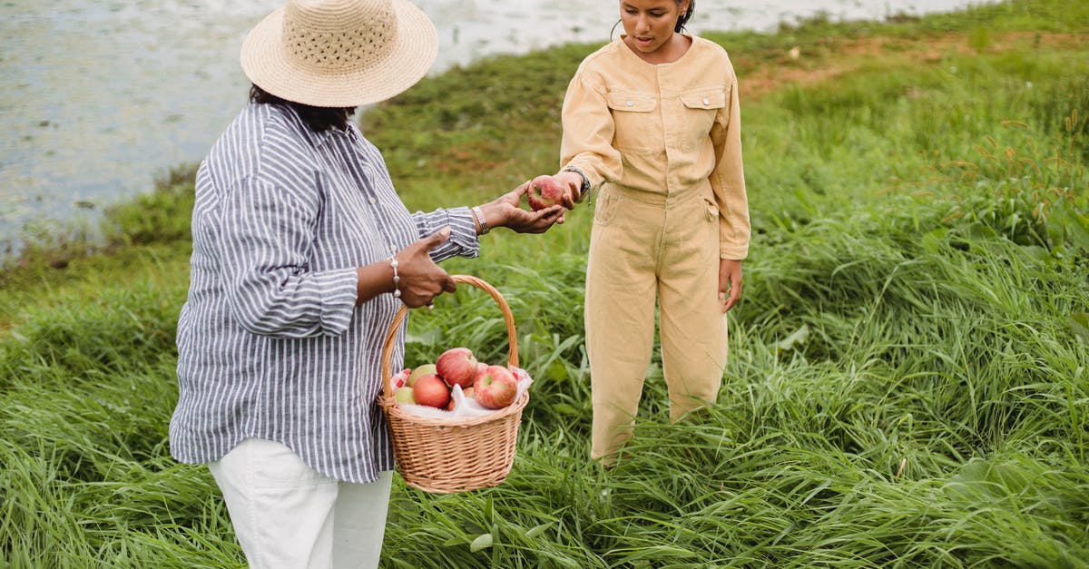 Where to find every-day healthy food near Heathrow Airport? - Unrecognizable ethnic woman carrying wicker basket with apple harvest and giving fresh fruit to girl standing in high grass near lake Where to find every-day healthy food near Heathrow Airport? - Unrecognizable ethnic woman carrying wicker basket with apple harvest and giving fresh fruit to girl standing in high grass near lake