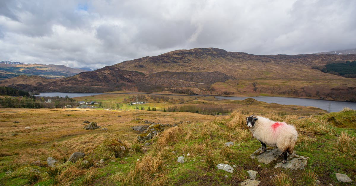 Where to find wilderness in Europe? - Grassland Around A Mountain Where to find wilderness in Europe? - Grassland Around A Mountain