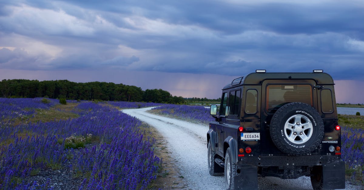 Where to park a car in Helsinki? - Black Suv in Between Purple Flower Fields Where to park a car in Helsinki? - Black Suv in Between Purple Flower Fields