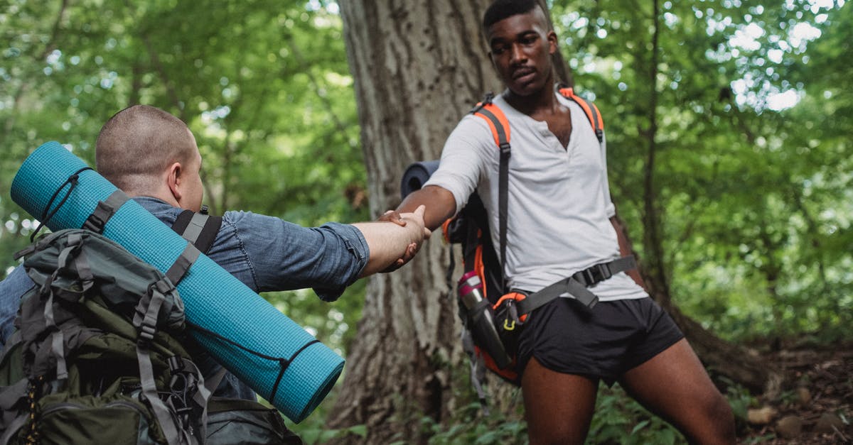 Which airlines provide cheap last day tickets in Nordic countries? - Focused African American traveler lending hand for faceless backpacker next to tree in forest in daytime Which airlines provide cheap last day tickets in Nordic countries? - Focused African American traveler lending hand for faceless backpacker next to tree in forest in daytime