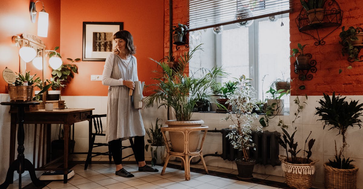 Which botanical gardens can I visit in Shanghai? - Woman in White Long Sleeve Shirt Standing Beside Brown Wooden Table Which botanical gardens can I visit in Shanghai? - Woman in White Long Sleeve Shirt Standing Beside Brown Wooden Table