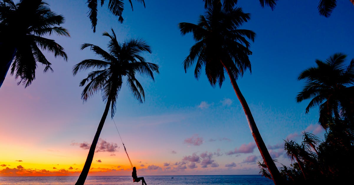 Which island in the Maldives should we stay to see the 'sea of stars' and also do all activities! [closed] - Silhouette Of A Person On A Swing