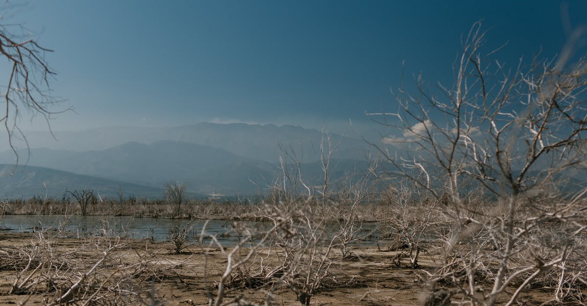 Which mountain has the highest death ratio of hikers? - Dry plants on shore of calm reservoir Which mountain has the highest death ratio of hikers? - Dry plants on shore of calm reservoir