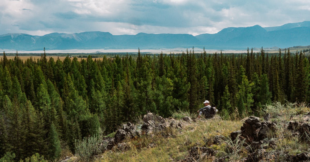Which mountain has the highest death ratio of hikers? - Person Sitting on Rocks Near Green Trees Which mountain has the highest death ratio of hikers? - Person Sitting on Rocks Near Green Trees