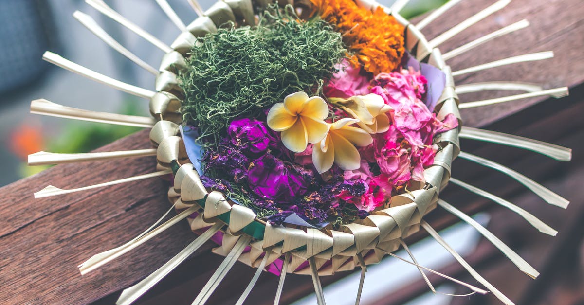 Which Schengen countries are currently offering Schengen visas? - Shallow Focus Photography of Multicolored Floral Decor