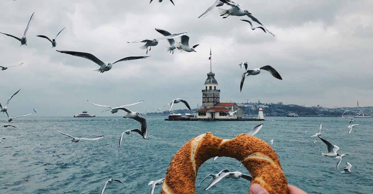 Who am I flying with? - Person Holding Brown Doughnut With Birds Flying over the Sea Who am I flying with? - Person Holding Brown Doughnut With Birds Flying over the Sea