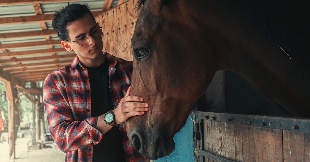 Why are airfares getting cheaper or at least we have stable airfares for the last 10 years? [closed] - Man Holding Horse's Fface