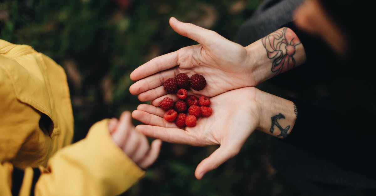 Why don't they give you a sweet on take-off anymore? - From above of crop anonymous person demonstrating handful of ripe sweet raspberry in garden in daylight Why don't they give you a sweet on take-off anymore? - From above of crop anonymous person demonstrating handful of ripe sweet raspberry in garden in daylight
