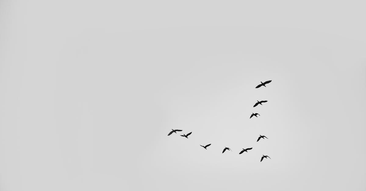 Why is a flight going west longer than the same flight going west to east? [duplicate] - Birds Flying in the Sky
