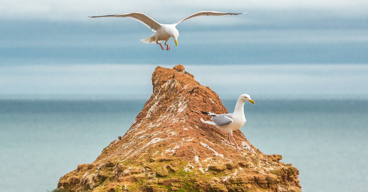 Why is flying to England so expensive this June/July? - White Seagulls