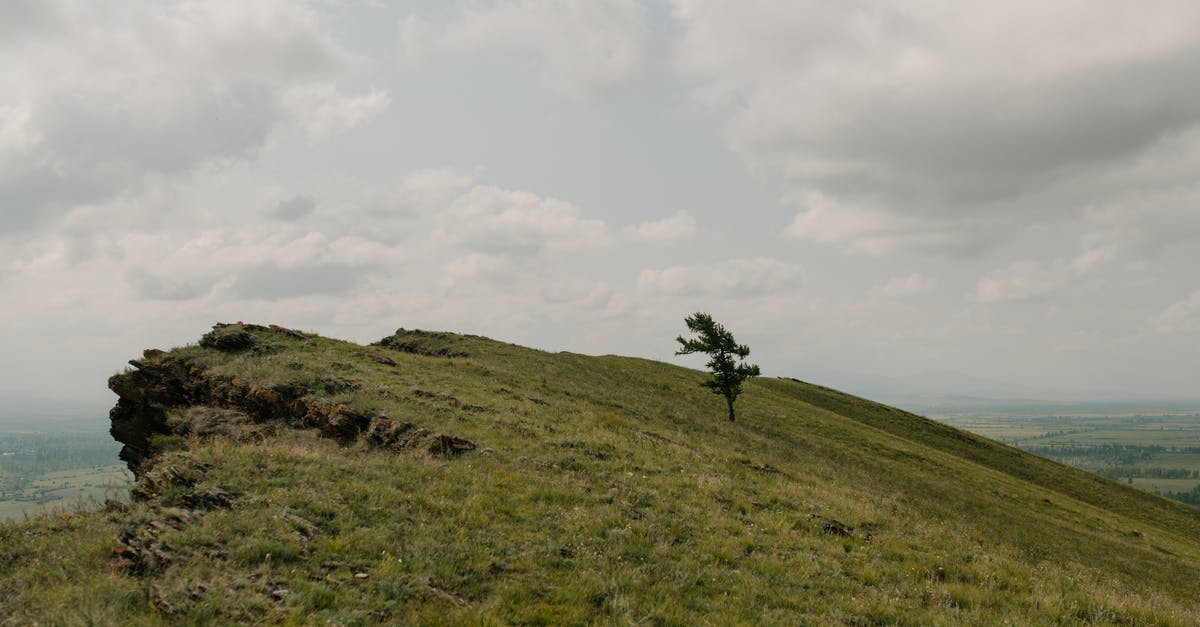 Why is the Lonely Planet Mongolian phrasebook so small? - Lonely tree on green mount under cloudy sky Why is the Lonely Planet Mongolian phrasebook so small? - Lonely tree on green mount under cloudy sky