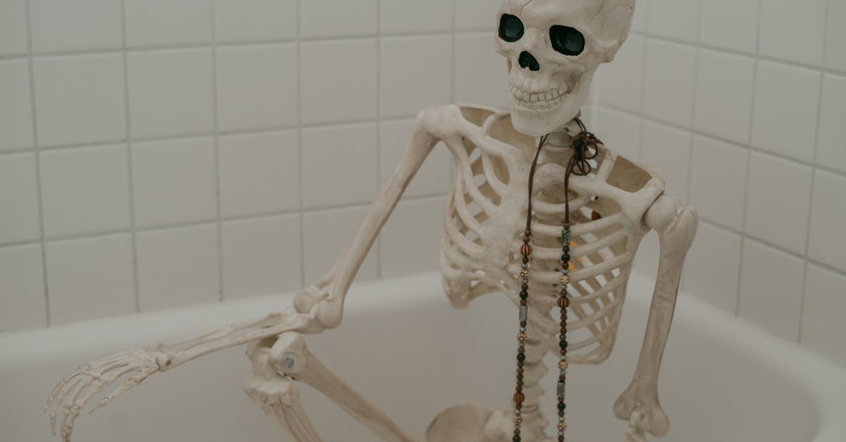 Why is this bathroom symbol in Germany "00"? - White skeleton with long chaplet sitting in bath without water in bathroom with white tiles on wall Why is this bathroom symbol in Germany "00"? - White skeleton with long chaplet sitting in bath without water in bathroom with white tiles on wall