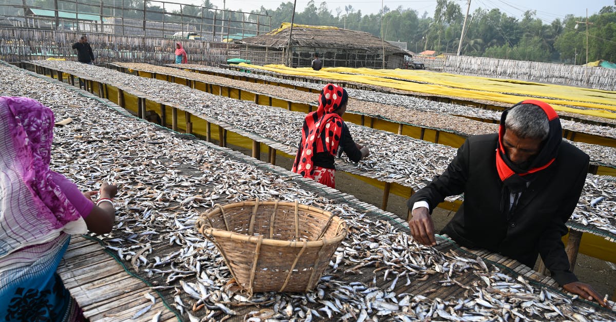 Why was my UK visa processing delayed? - People Working Sorting Dry Fish Why was my UK visa processing delayed? - People Working Sorting Dry FishÂ