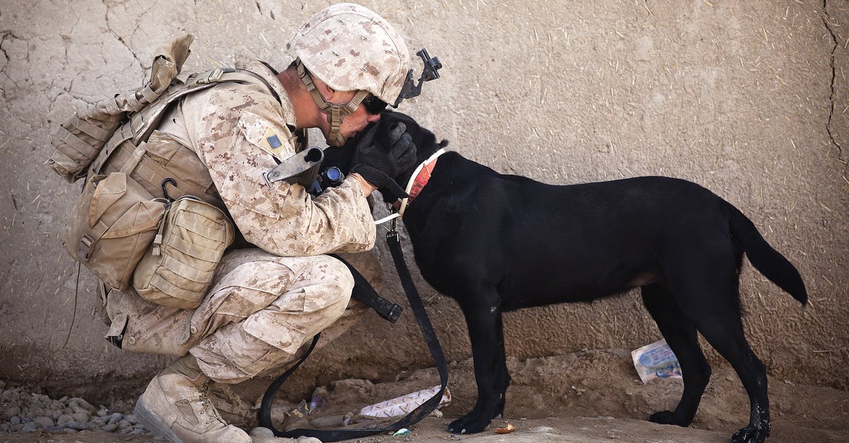 Will being debtor to a German company affect my issuance of Schengen tourist visa? - Soldier and Black Dog Cuddling Will being debtor to a German company affect my issuance of Schengen tourist visa? - Soldier and Black Dog Cuddling