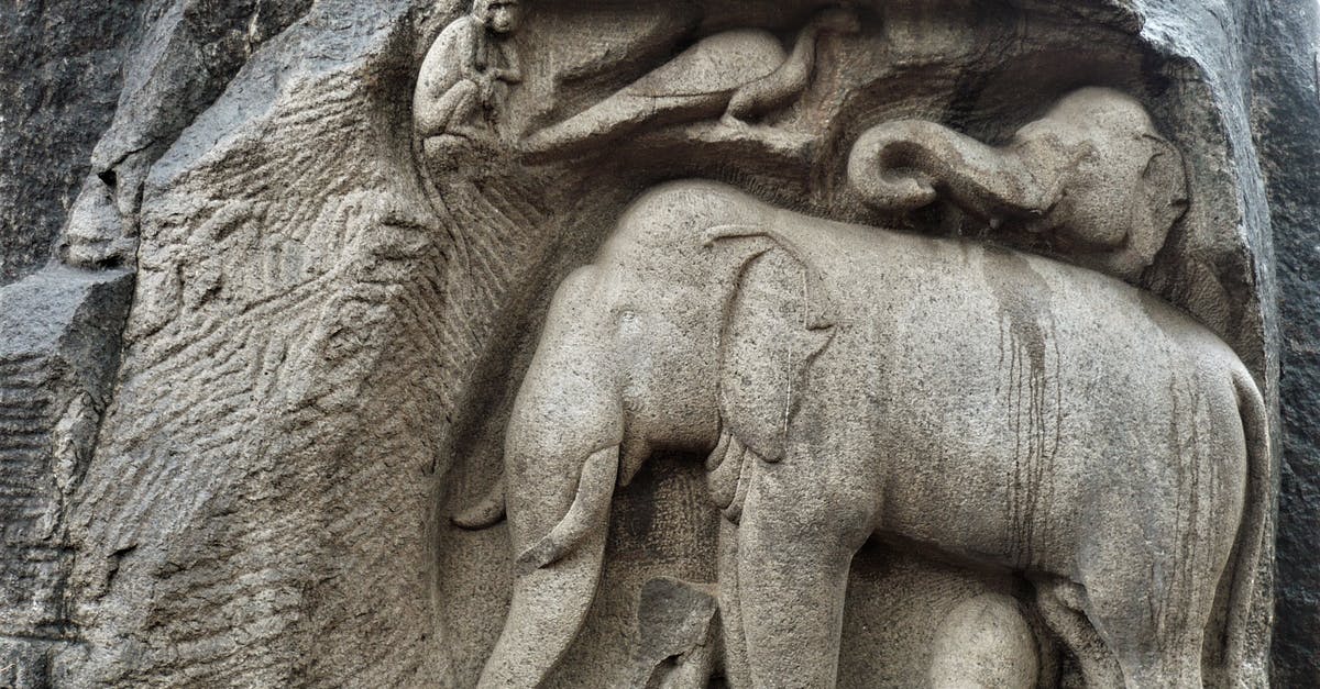 Will Customs in India figure out that I have two laptops? [duplicate] - A Sculpture of Elephants and a Monkey at the Descent of the Ganges in Mamallapuram, India