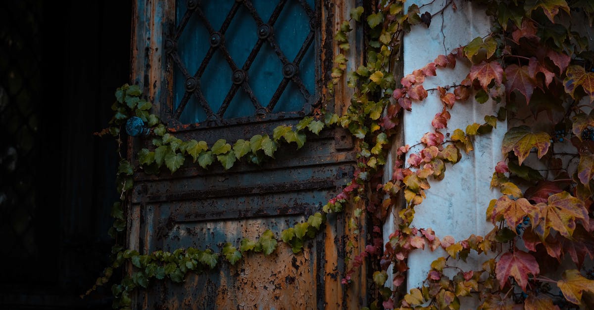 Will having used one previous double-entry visa for China make me eligible for a multiple entry visa now? - Low angle of weathered opened rusty door with metal handle of aged house covered with ivy Will having used one previous double-entry visa for China make me eligible for a multiple entry visa now? - Low angle of weathered opened rusty door with metal handle of aged house covered with ivy
