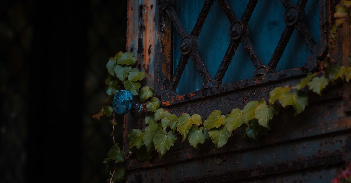 Will having used one previous double-entry visa for China make me eligible for a multiple entry visa now? - Rusty metal door with climbing plant Will having used one previous double-entry visa for China make me eligible for a multiple entry visa now? - Rusty metal door with climbing plant