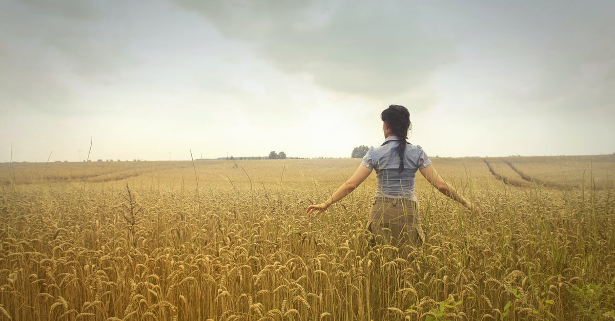 Will I have to pay duty for property that I will take back to country of purchase? [closed] - Woman Standing on Rice Field during Cloudy Day