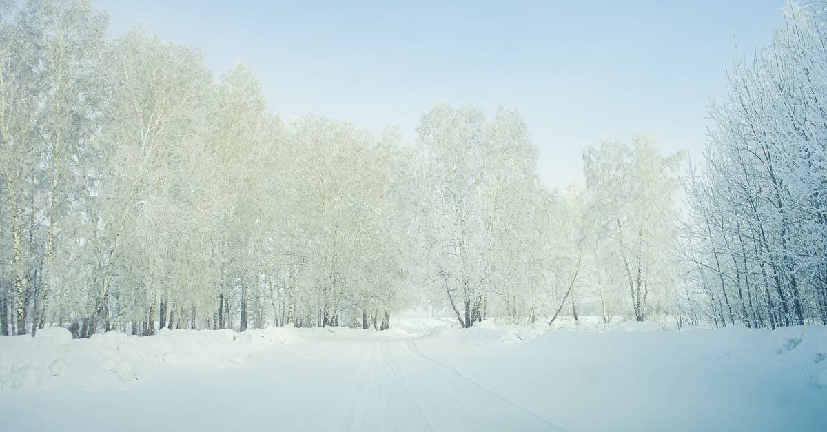 Winter / snow tires in Denmark for March - Trees Covered on Snow Winter / snow tires in Denmark for March - Trees Covered on Snow