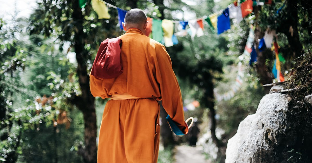 With Indian e-visa, can I do 2nd entry from Nepal back to India through Banbasa border crossing? - Unrecognizable Buddhist monk in green garden With Indian e-visa, can I do 2nd entry from Nepal back to India through Banbasa border crossing? - Unrecognizable Buddhist monk in green garden