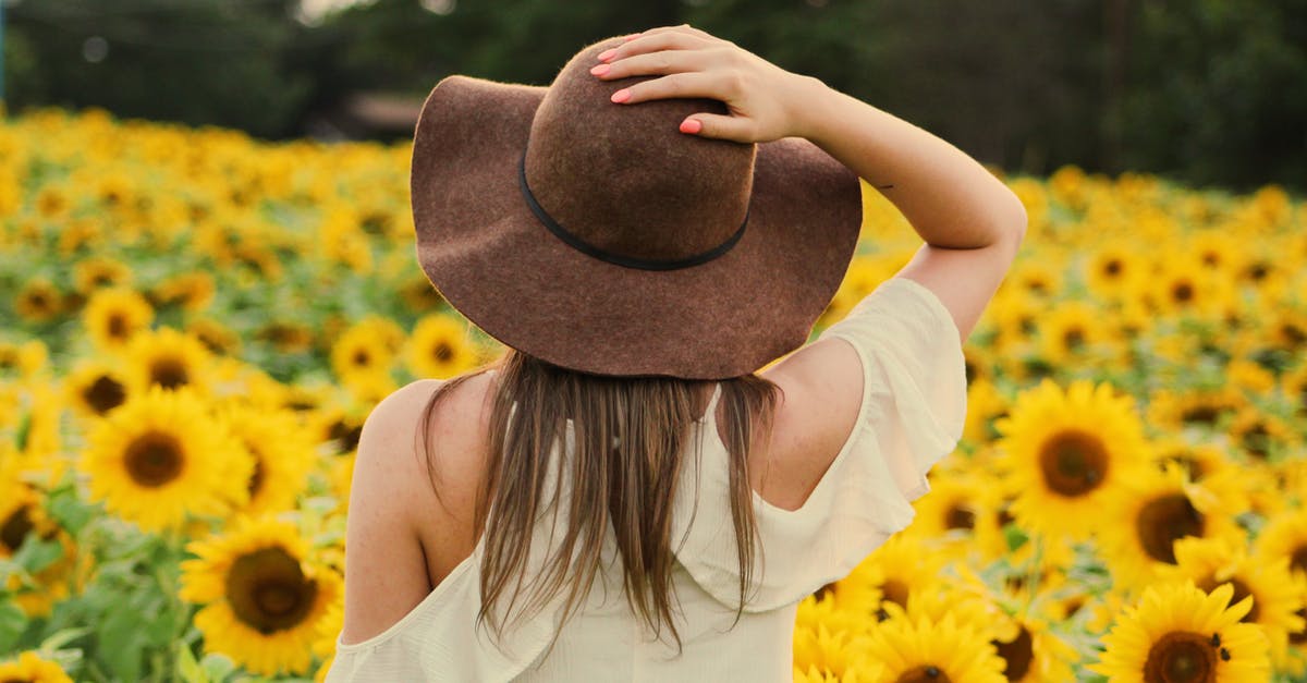 Within 300 km of Tokyo: Where for flora, landscape, nature? [closed] - Photo of Woman in a Sunflower Field