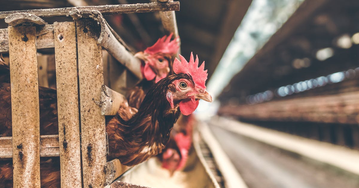 Working for one EU country and living in the other [closed] - Selective Focus Photography of Rooster in Cage