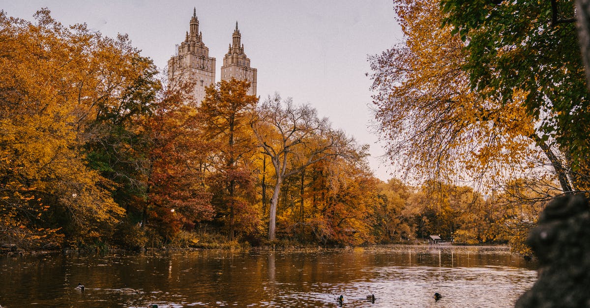 Would being denied entry be considered to fall under either Removed or Deported on the US visa application? - Ducks flowing in calm lake surrounded by tall autumn trees placed un Central Park in New York City in daytime Would being denied entry be considered to fall under either Removed or Deported on the US visa application? - Ducks flowing in calm lake surrounded by tall autumn trees placed un Central Park in New York City in daytime