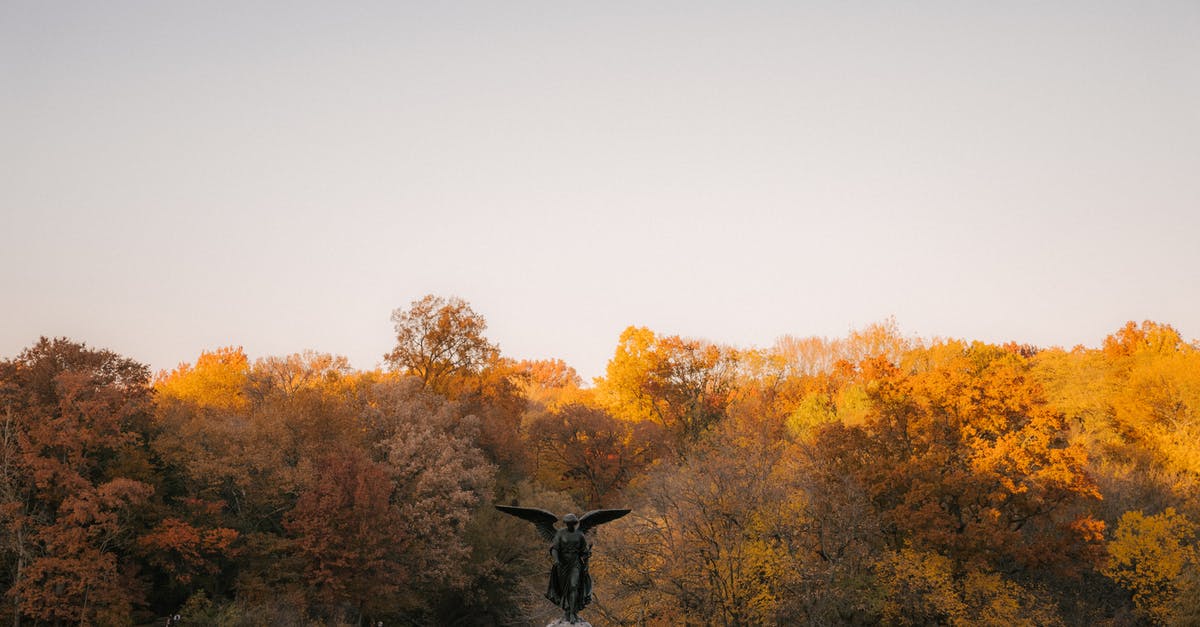 Would being denied entry be considered to fall under either Removed or Deported on the US visa application? - Fragment of Bethesda Fountain statue of Angel of the Waters against colorful trees placed in autumn Central Park in New York City in sunny day Would being denied entry be considered to fall under either Removed or Deported on the US visa application? - Fragment of Bethesda Fountain statue of Angel of the Waters against colorful trees placed in autumn Central Park in New York City in sunny day