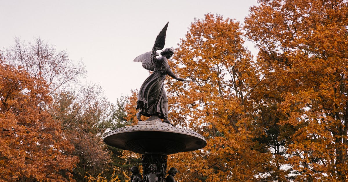Would being denied entry be considered to fall under either Removed or Deported on the US visa application? - Statue of angel in peaceful autumn park Would being denied entry be considered to fall under either Removed or Deported on the US visa application? - Statue of angel in peaceful autumn park