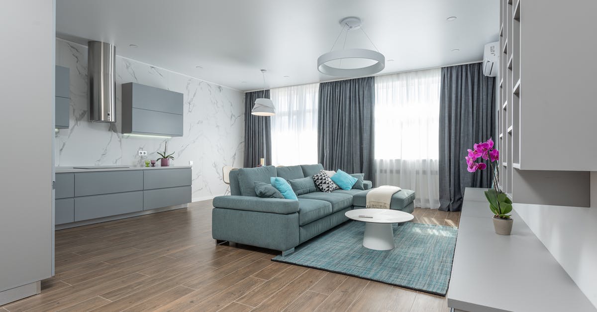 Zippered travel sheets that open flat with a pillow insert that are machine-washable? - Interior of modern living room with comfortable sofa carpet and round table and open kitchen with cupboards in modern apartment